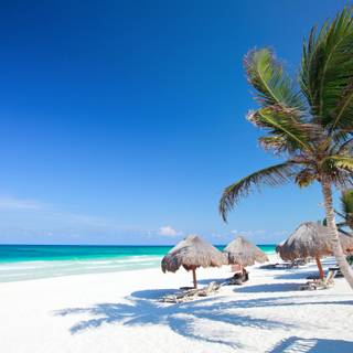 Playa del Carmen Mexico wallpaper