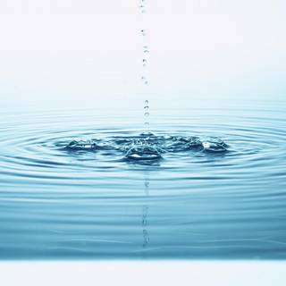 Drops of water wallpaper