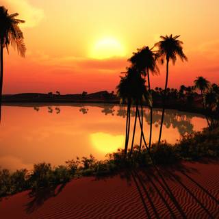 Desert oasis wallpaper