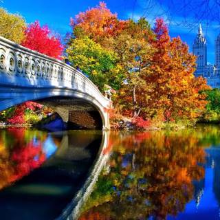 Central Park New York wallpaper