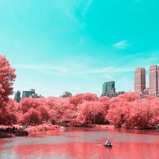 Central Park New York wallpaper