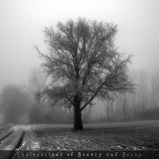 Black & white wallpaper