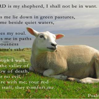 Psalm 23 wallpaper