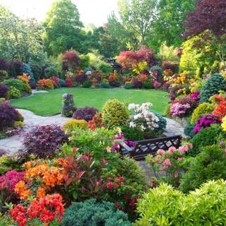 Flower garden with cottage wallpaper