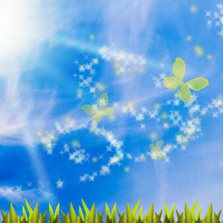 A summer day wallpaper