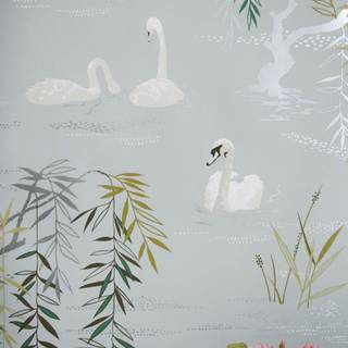 Swans at lake wallpaper