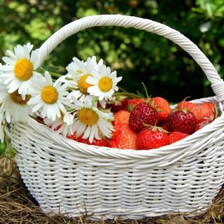 Strawberry flower wallpaper