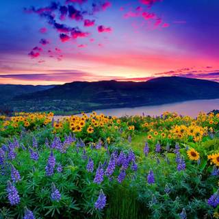 Beautiful mountain scenery wallpaper