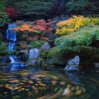 Oriental garden wallpaper