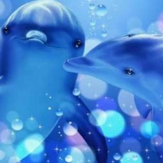 Abstract dolphins wallpaper