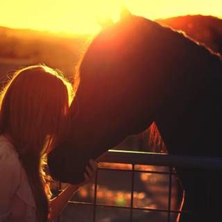 The golden hour wallpaper