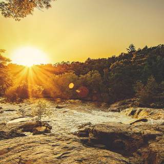 The golden hour wallpaper