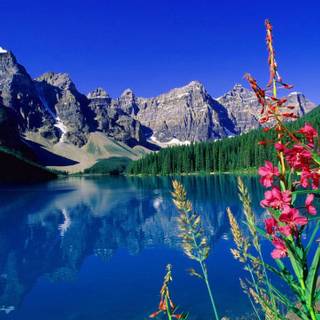Landscape with mountain, lake and flowers wallpaper