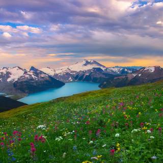 Landscape with mountain, lake and flowers wallpaper