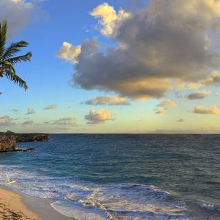 Tropical beach panorama wallpaper