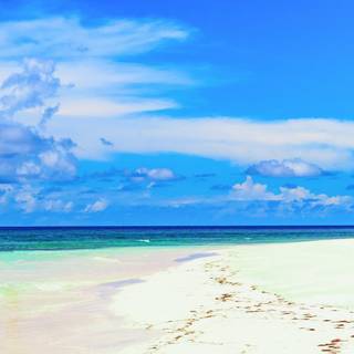 Tropical beach panorama wallpaper