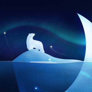 Polar bear night wallpaper