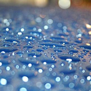 Raindrops HD wallpaper