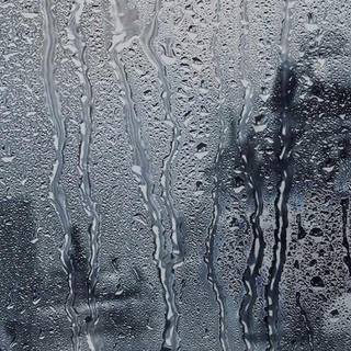 Raindrops HD wallpaper