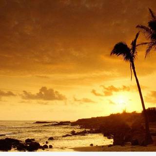 Amazing sea sunset wallpaper