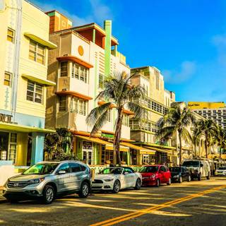 Miami Florida palm trees and skyline wallpaper