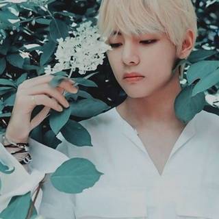 V Taehyung wallpaper
