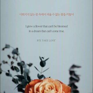 BTS lyrics wallpaper