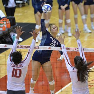 Washington State volleyball wallpaper