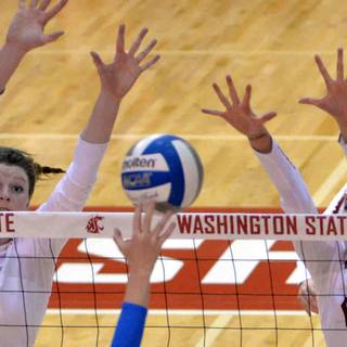 Washington State volleyball wallpaper