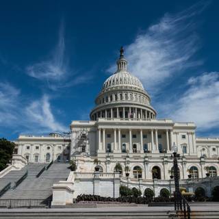 The White House wallpaper