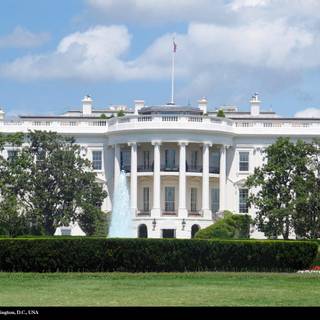 The White House wallpaper