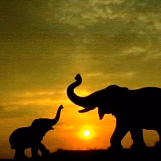 Baby elephant drinking wallpaper