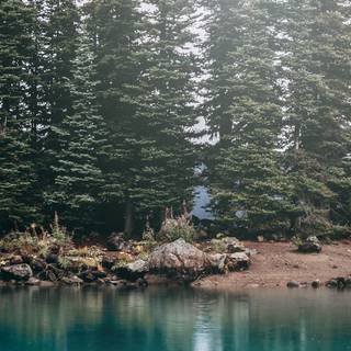 Lake shore wallpaper