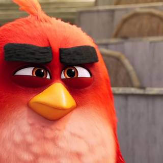 Angry Birds Movie 2 Red wallpaper