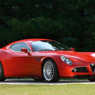 Nitro type wallpaper