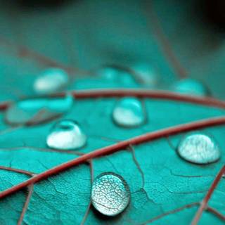 3D view mobile wallpaper