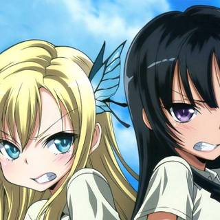 Sena Kashiwazaki wallpaper