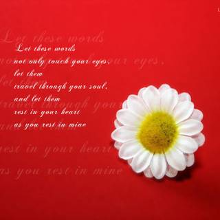 Love romantic wallpaper