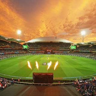 Adelaide Crows wallpaper