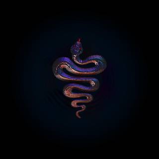 Small snake wallpaper