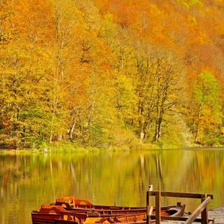 National Park Biogradska Gora wallpaper