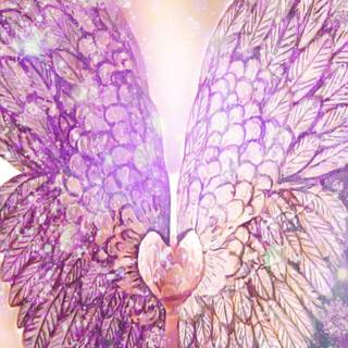 Pink wings wallpaper