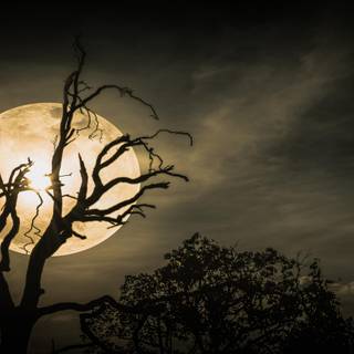 Mountain moon nightscape wallpaper