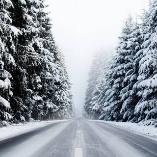 Winter forest road wallpaper