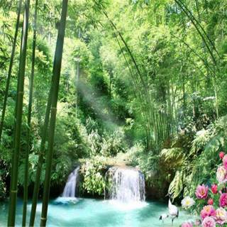 Bamboo waterfall wallpaper