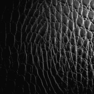 Alligator print wallpaper