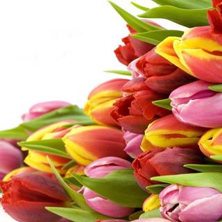 Get well soon wallpaper