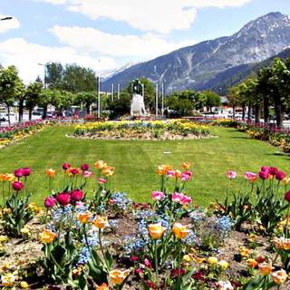 English garden wallpaper