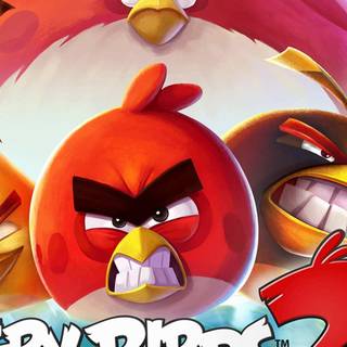 The Angry Birds Movie 2 HD wallpaper