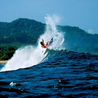 Surfer magazine wallpaper